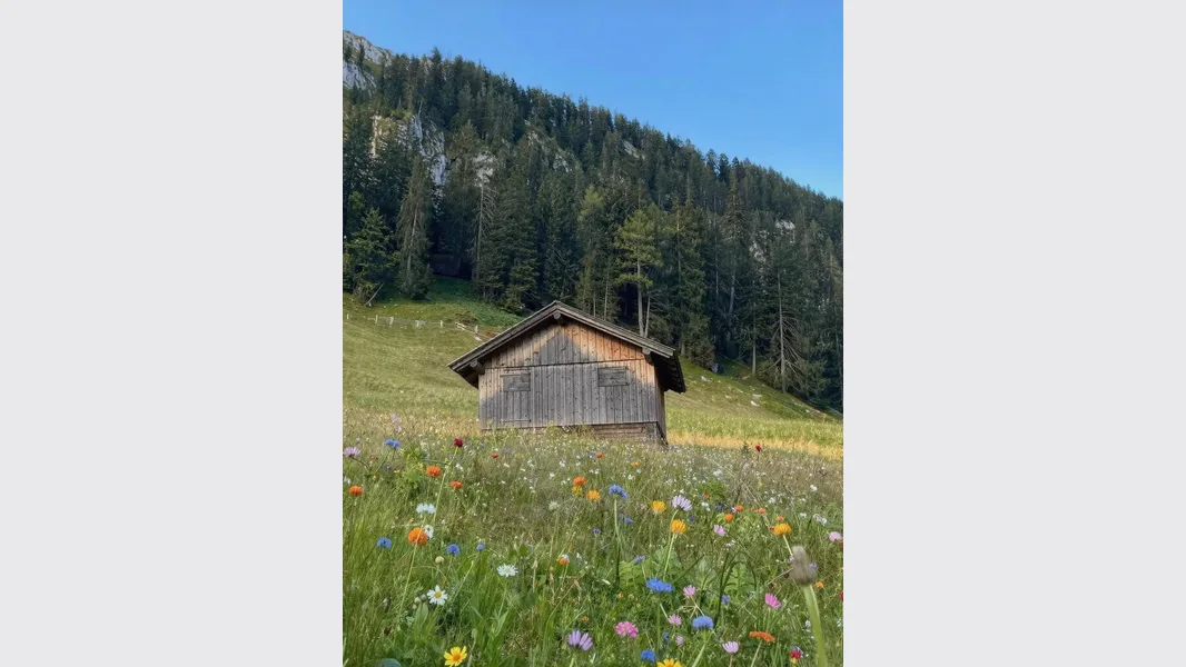 Smalle foto van een hut op een groene heuvel, voordat je de achtergrond van de foto uitbreidt